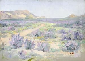 Purple Flowers In Bloom, Namaqualand