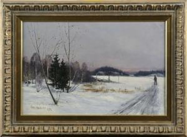 Vintermotiv Med Vandrare - view 1