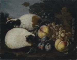Uva, Pesche E Prugne Con Criceti by Pietro Navarra