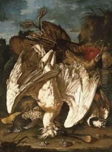 Still Life With A Spoonbill, A Woodcock, And Game Birds by Pietro Navarra