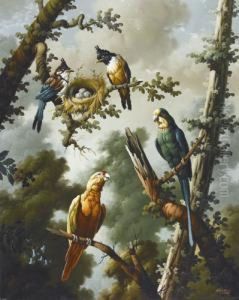 Zwei Amazonas-papageien Und Vogelpaar Mit Nest by J. Navarro