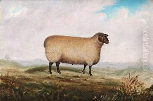 A Prize Southdown Ram; A Prize Southdown Ewe, Bred By Earl Guilford Of Waldershare In Kent - view 1