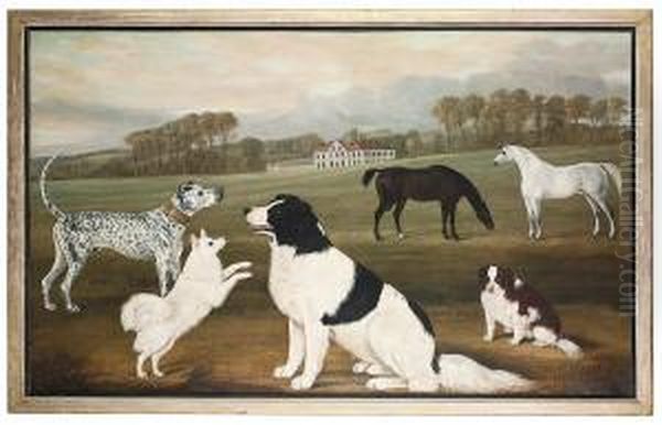 A Mastiff - view 1