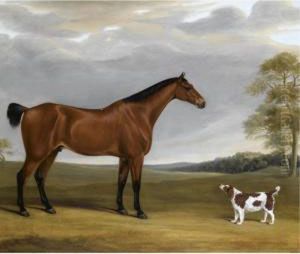 Various Properties
 

 
 
 

 
 A Bay Hunter And Spaniel Before Goodwood Park