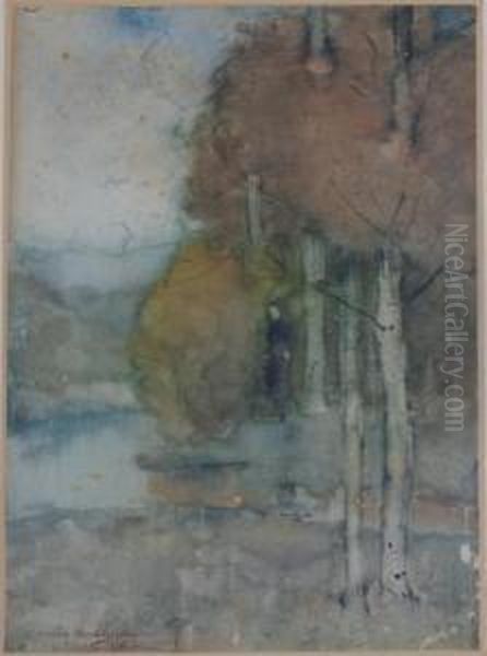 Amongst The Birches - view 1
