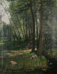 Zonnig Bospaadje Met Geitjes En Eenden Bij De Beek. Zonnig Bospaadje Met Geitjes En Eenden Bij De Beek.