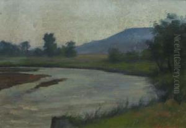 Peisaj Cu Ru - view 1