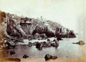 Nice, Le Cap Et Le Chateau De L'anglais by Charles Negre