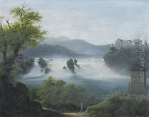 View Of The Rhine Falls At Schaffhausen