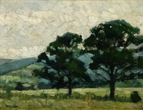 Trees In A Spring Landscape - view 1