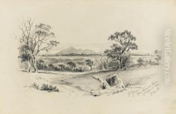 You Yangs From German Town - view 1