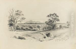 You Yangs From German Town