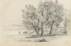 Six Drawings Of Landscapes by John Mckirdy Nelson