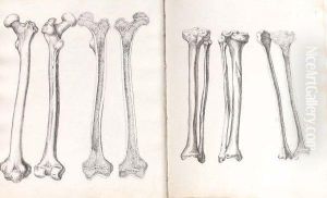 Un Album Comprenant 88 Dessins by Charles Frederic Nepveu