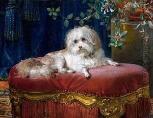 Le Petit Chien De Lion