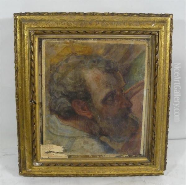 Bearded Male Head - view 1