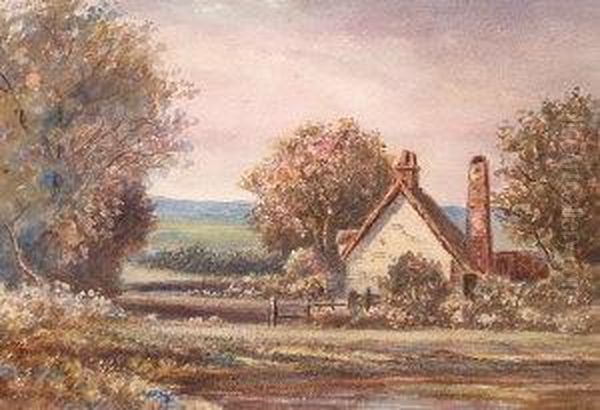 Ormsby Broad - view 1