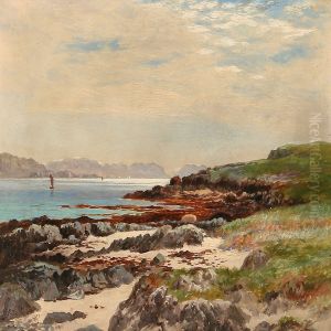 Iona Looking South by John Nesbitt