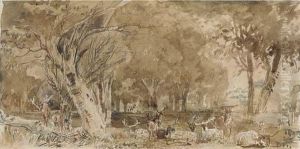 Deer Resting In The Shade