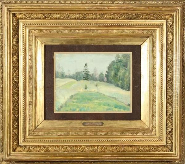 Foresthillside - view 1