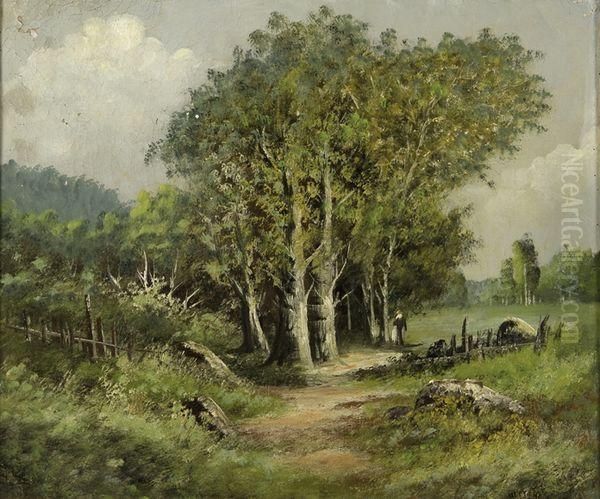 Paysage - view 1