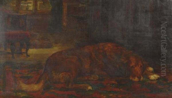 A Dog Resting In An Interior - view 1