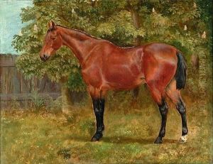 Portrait Of A Bay Hunter In A Garden by John Trivett Nettleship