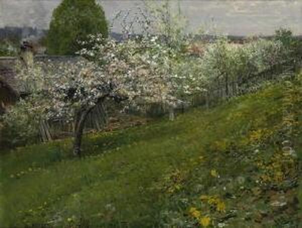 Baumblute In Grunwald. - view 1