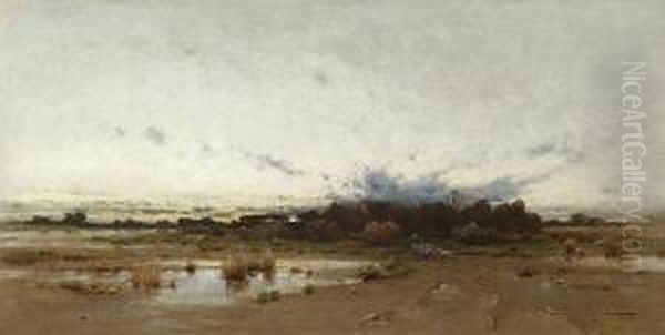 Abendliche
Moorlandschaft. - view 1