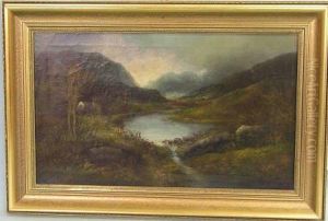 See In Bergiger Landschaft
