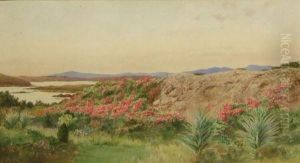 A View Of Screebe by Louis Neville
