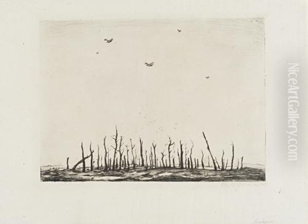 That Cursed Wood - view 1