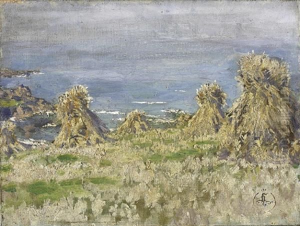 Cornfield - view 1