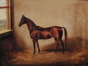 Portrait Of A Horse.