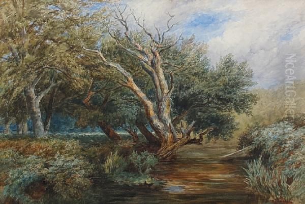 Silent Pool - view 1
