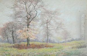 Group Of Trees In Autumn Landscape by Hugh Newell