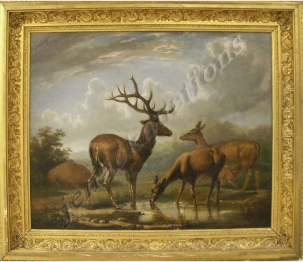 Family Of Elk - view 1