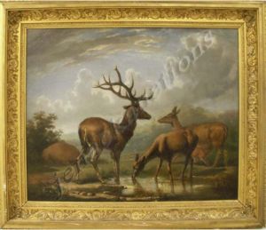 Family Of Elk by Hugh Newell