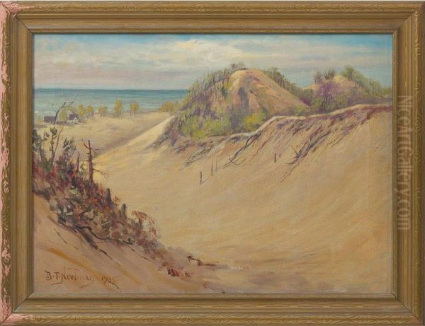 Dunes - view 1