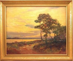 Landscape With Path Through Woods