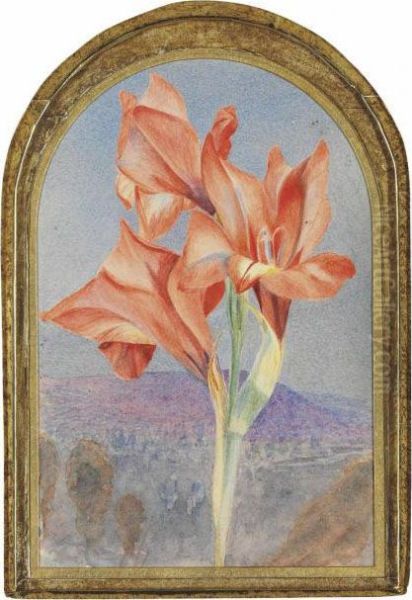 Amaryllis In A Landscape - view 1