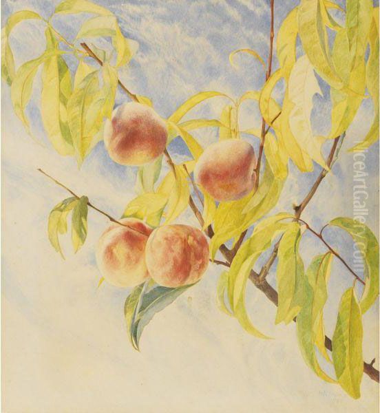 Peaches - view 1