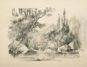 Paisagem - Lago E Cisne