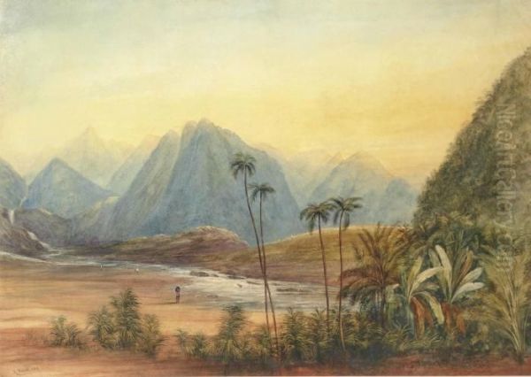 A River Landscape, Ceylon - view 1