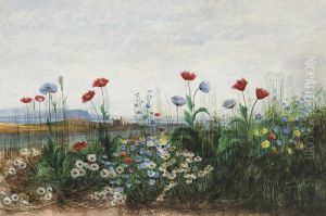 Wild Flowers With View Of Doe Castlebeyond