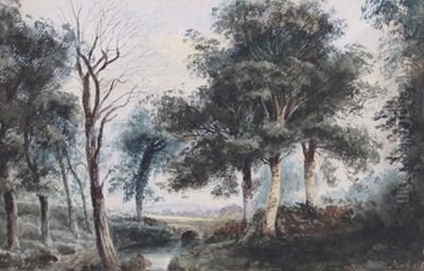 Study At Springfield Near Belfast - view 1