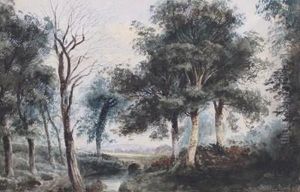 Study At Springfield Near Belfast by William Nicholl