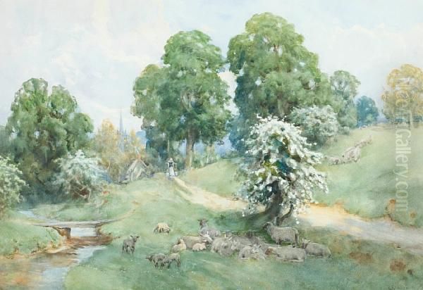 Rural Scene With Sheep On A Village Common - view 1