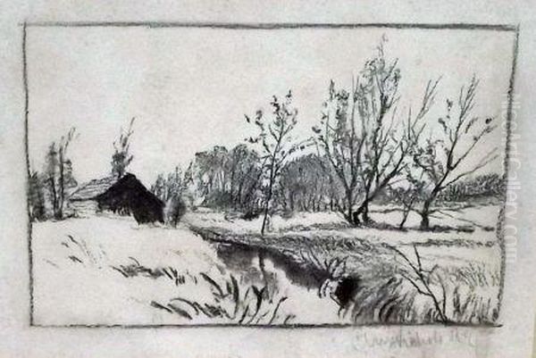 Woodland Stream - view 1