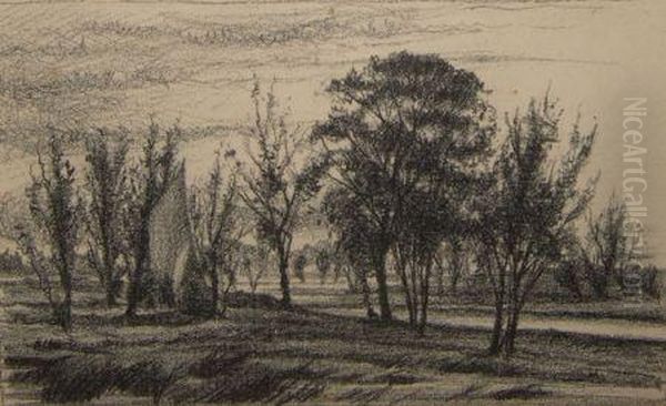 Landscape - view 1